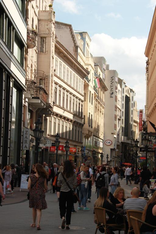 Duna Szecsi Apartman Budapest Luaran gambar